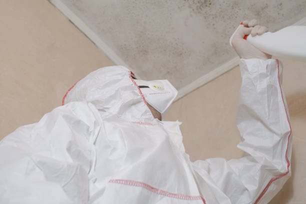 Best Crawl Space Mold Removal  in Totowa, NJ
