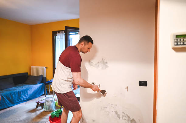 Best Mold Damage Repair  in Totowa, NJ